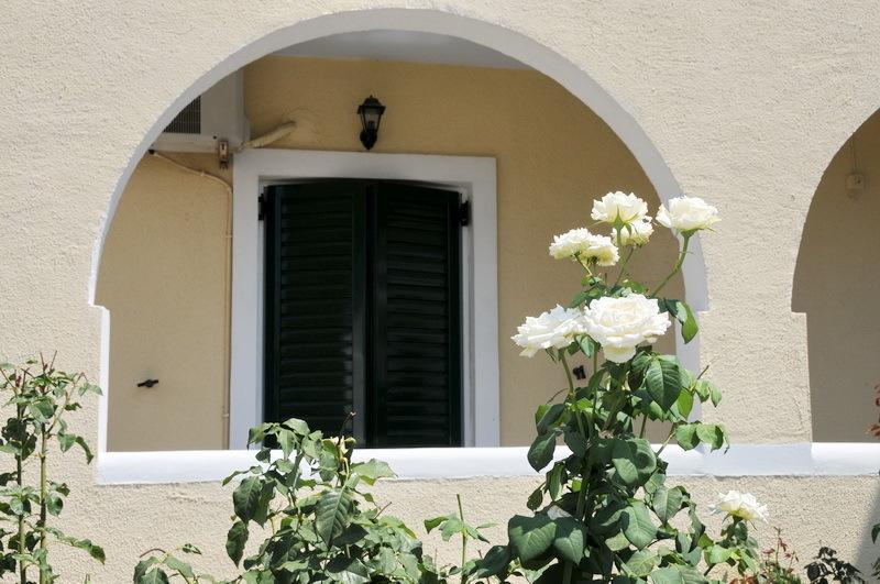 Alvi Studios Perdika (Aegina) Exterior foto